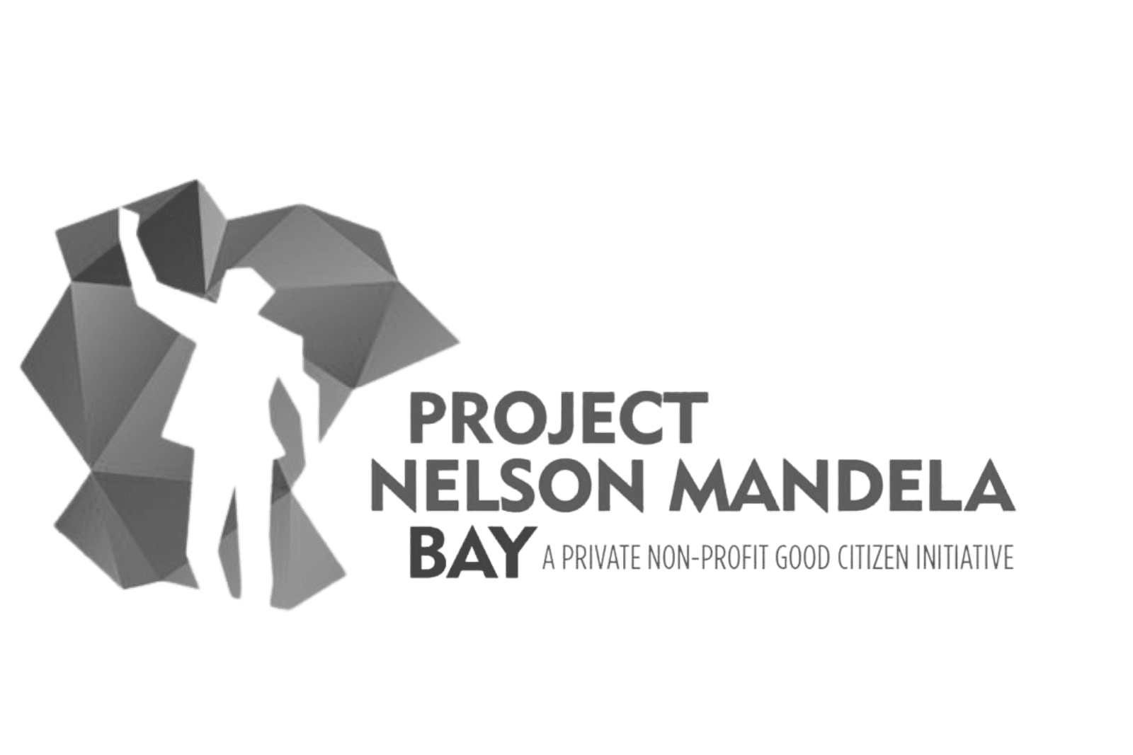 Logo of Project Nelson Mandela Bay, a corporate investment partner of The Secret Love Project NPO